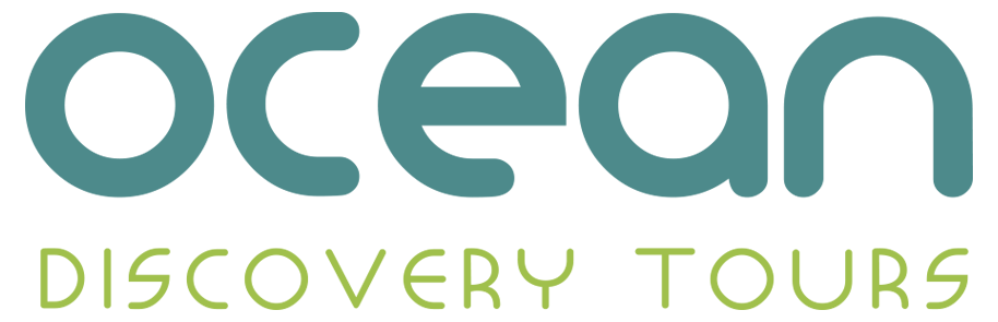 Ocean Discovery Tours